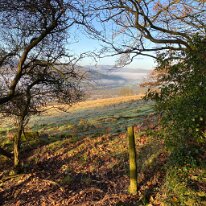IMG_0369 Looking out from the Bluebell woods over the Glanusk Estate.