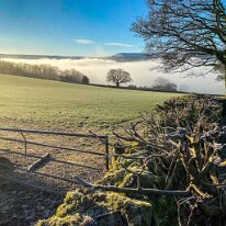IMG_0429-Edit A winter morning on Bellfountain Road.